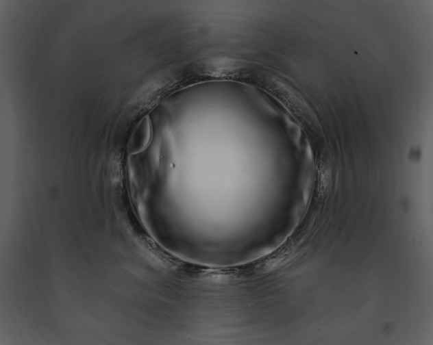 X0000091210620200708231609