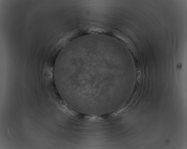 X0000091210621200708231609