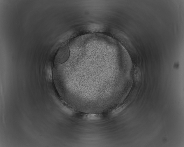 X0000091210622200708231609