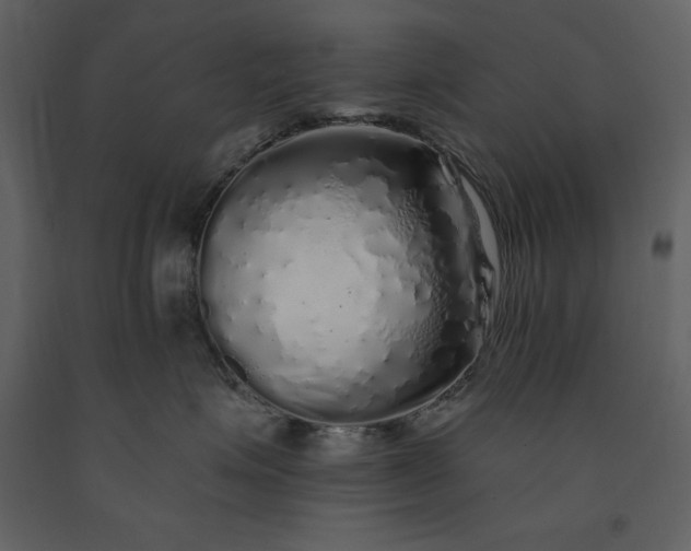 X0000091210623200708231609