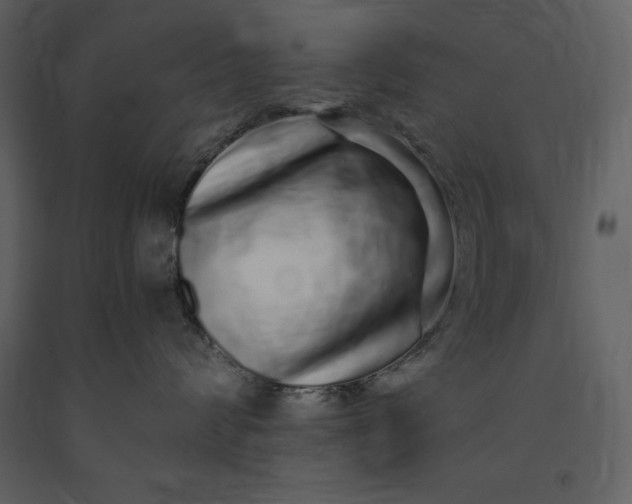 X0000091210624200708231609