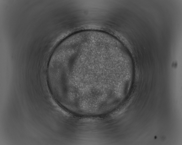 X0000091210625200708231608