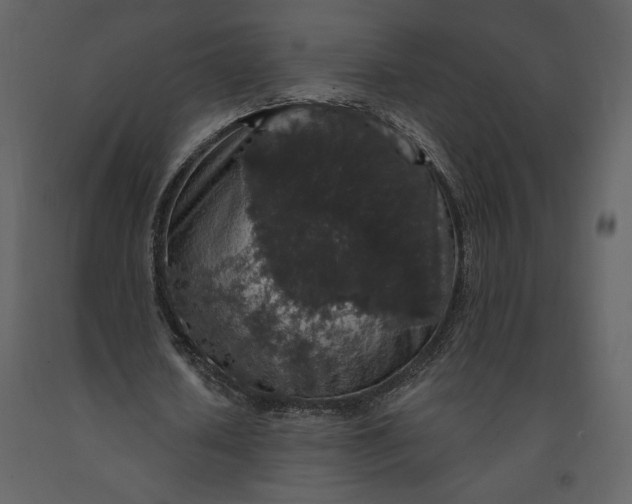 X0000091210626200708231608