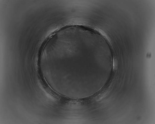 X0000091210627200708231608