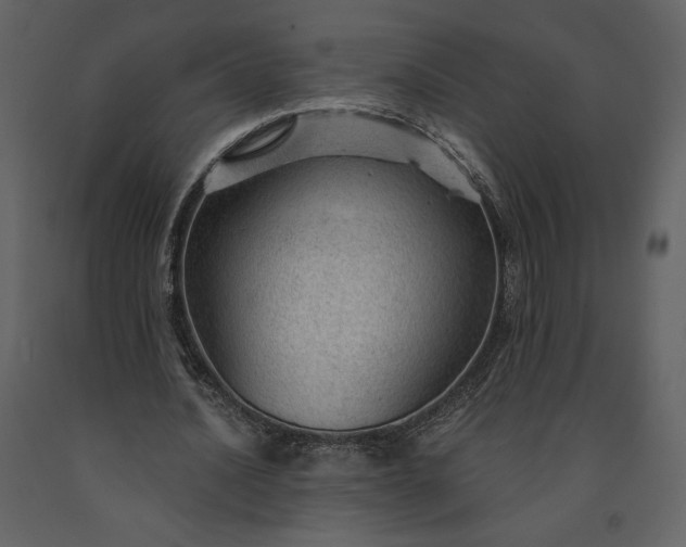 X0000091210628200708231608