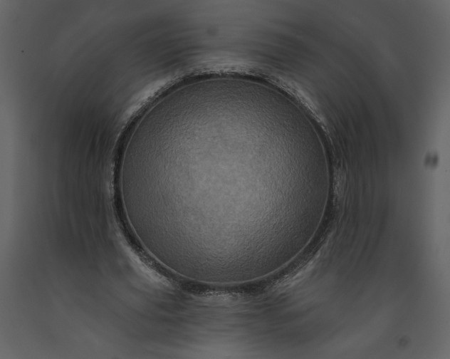 X0000091210629200708231608