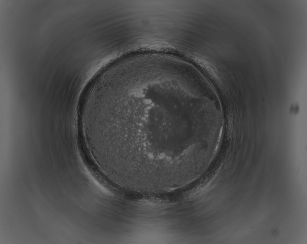 X0000091210630200708231608
