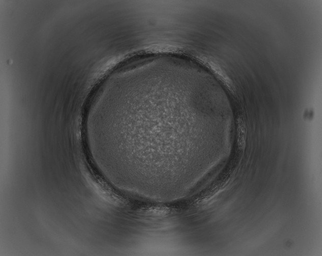 X0000091210631200708231608