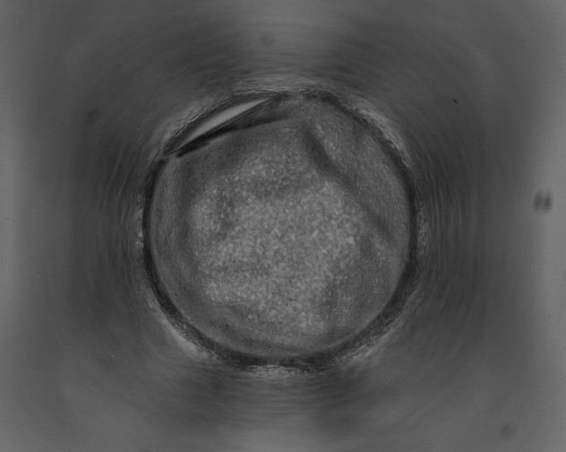 X0000091210633200708231608