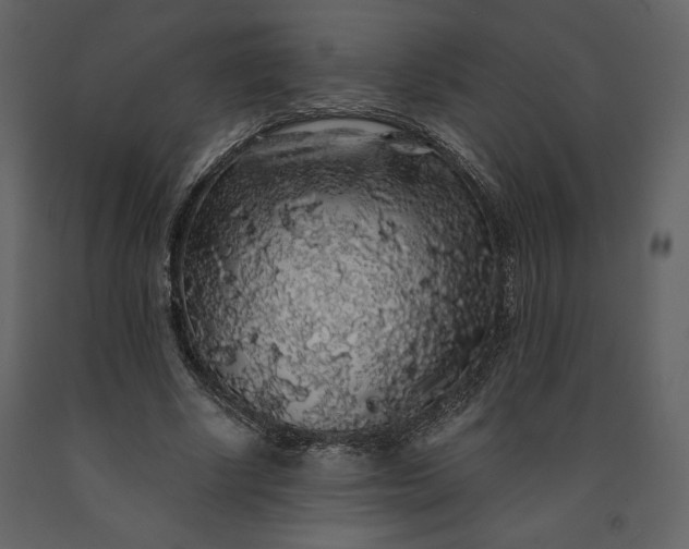 X0000091210634200708231608