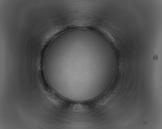 X0000091210635200708231608
