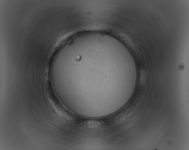 X0000091210636200708231608