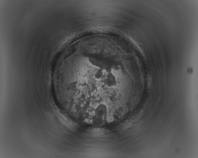 X0000091210637200708231608