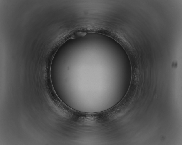 X0000091210639200708231608