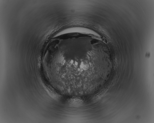 X0000091210644200708231608