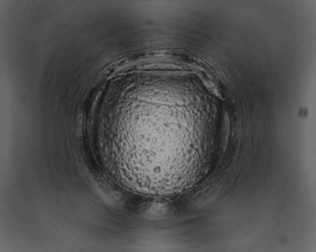 X0000091210647200708231608