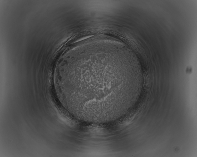 X0000091210648200708231608