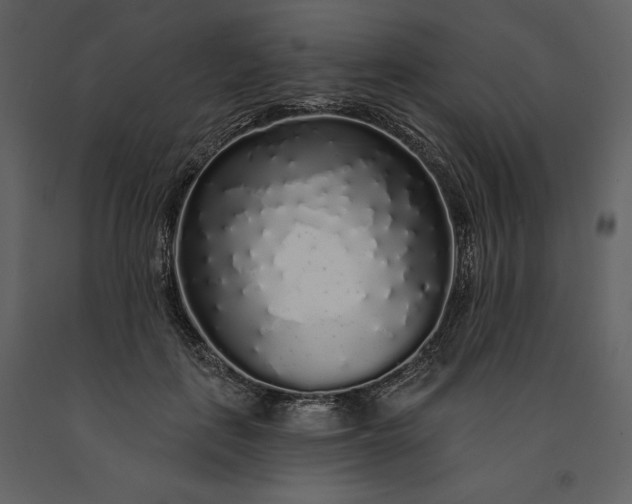 X0000091210651200708231608