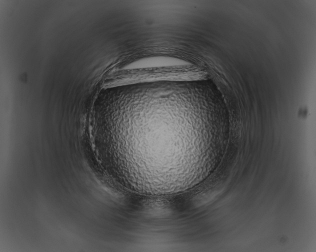 X0000091210652200708231608