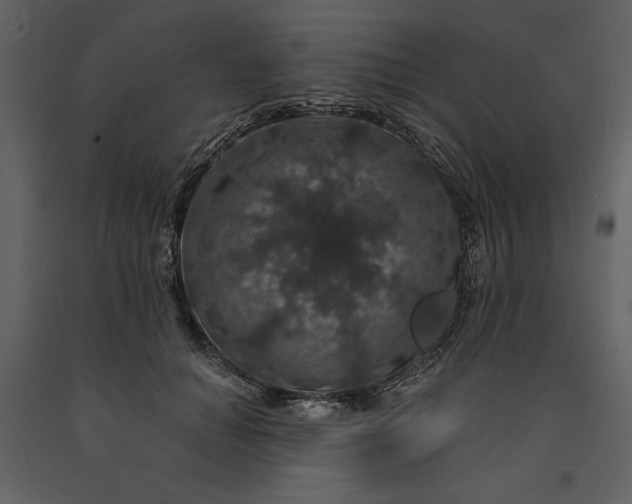 X0000091210654200708231608