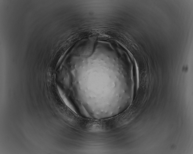 X0000091210655200708231608