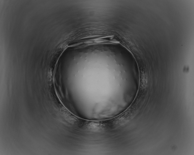 X0000091210657200708231608