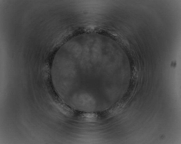 X0000091210659200708231609