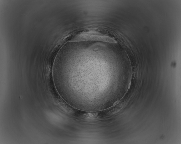 X0000091210660200708231609
