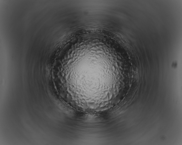 X0000091210662200708231609