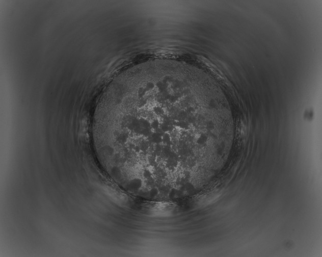 X0000091210663200708231609