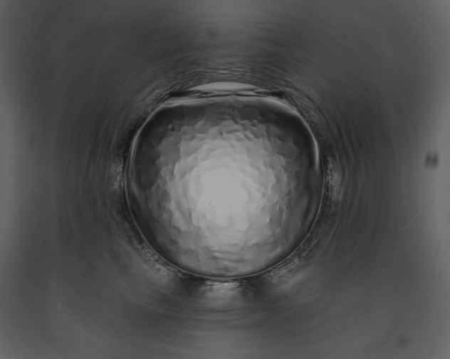 X0000091210665200708231609