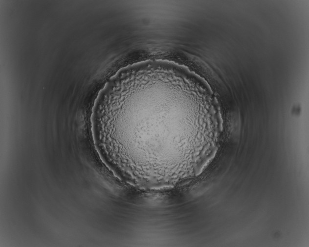 X0000091210667200708231609