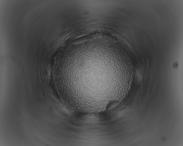 X0000091210668200708231609