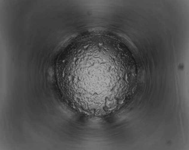 X0000091210669200708231609