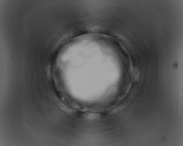 X0000091210670200708231609