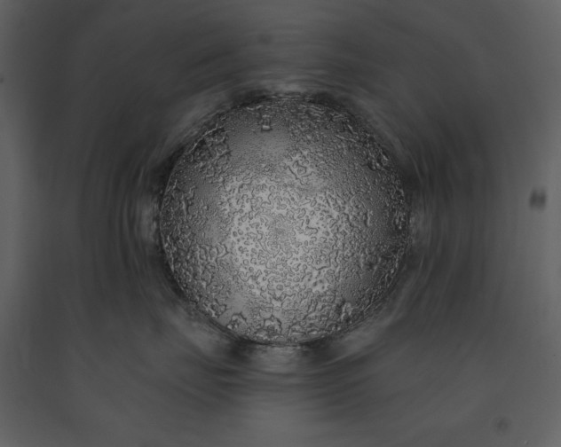 X0000091210671200708231609