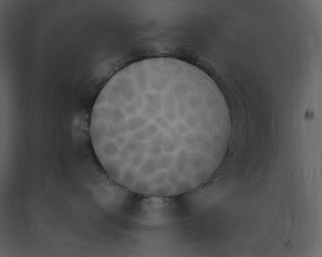 X0000091210672200708231609