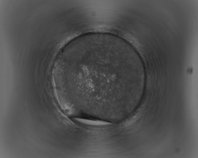 X0000091210673200708231608