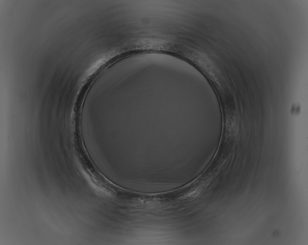 X0000091210674200708231608