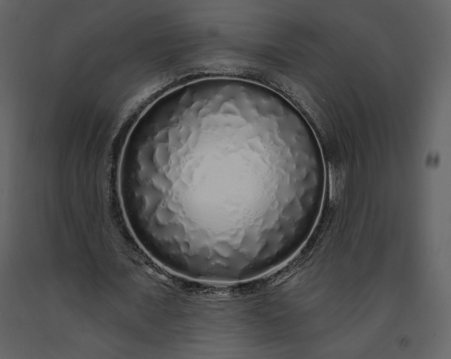 X0000091210675200708231608
