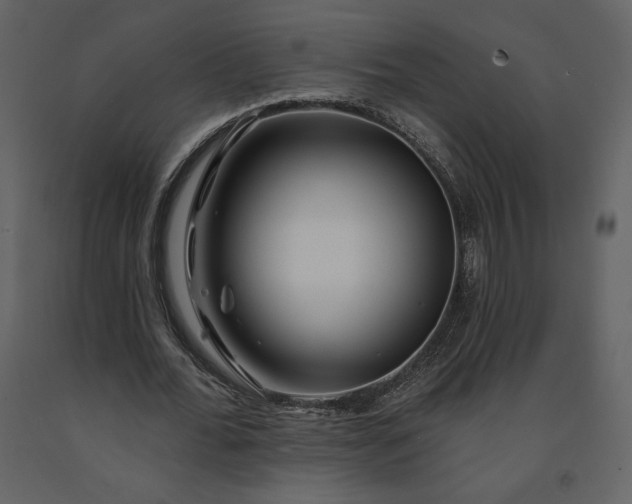 X0000091210676200708231608