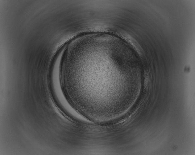 X0000091210677200708231608