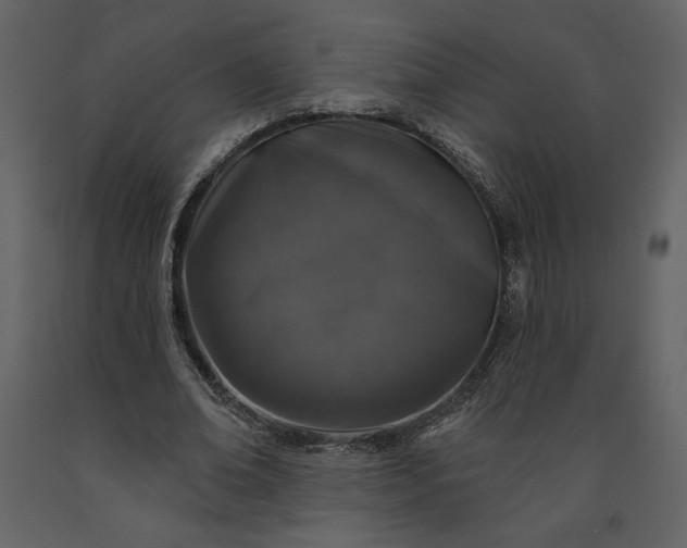 X0000091210678200708231608