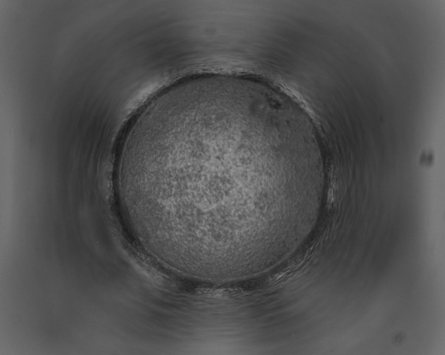 X0000091210679200708231608