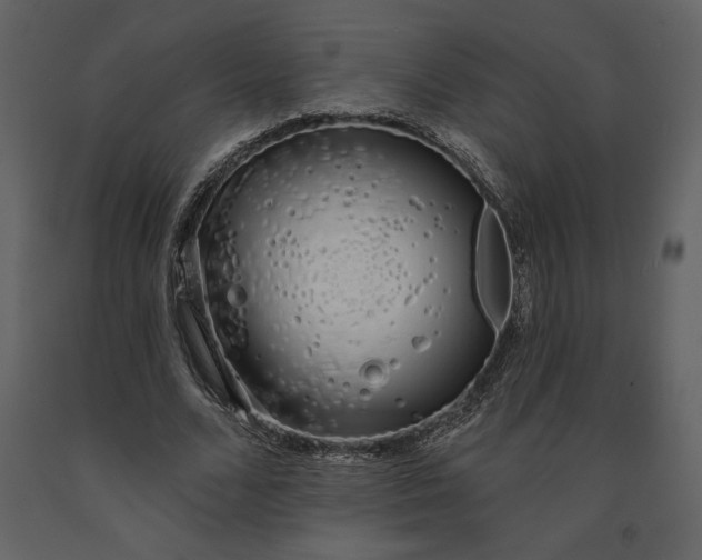 X0000091210680200708231608