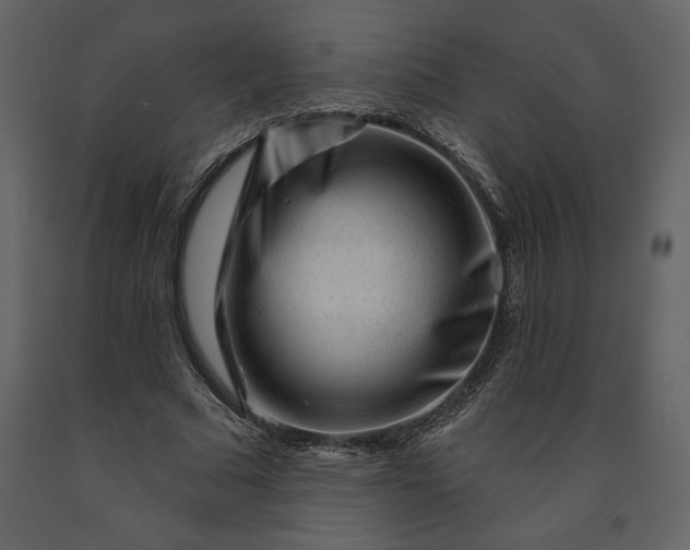 X0000091210681200708231608