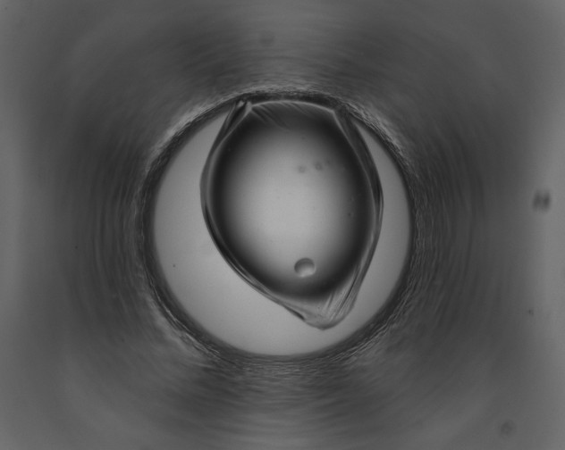 X0000091210684200708231608
