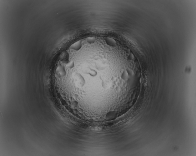 X0000091210687200708231608