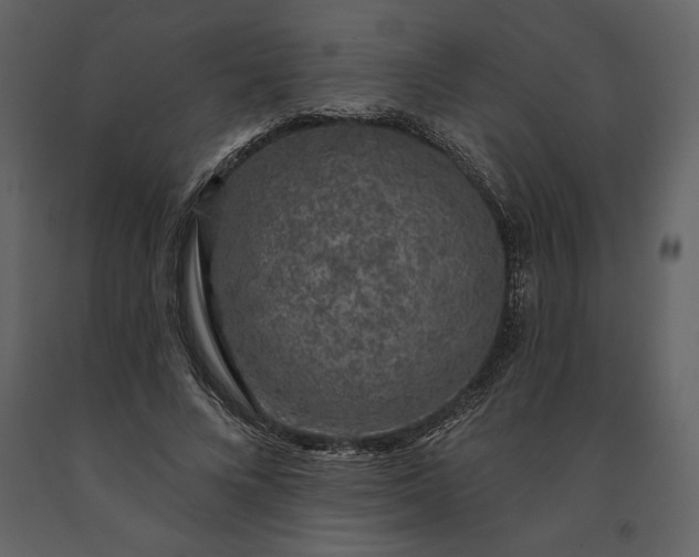 X0000091210688200708231608