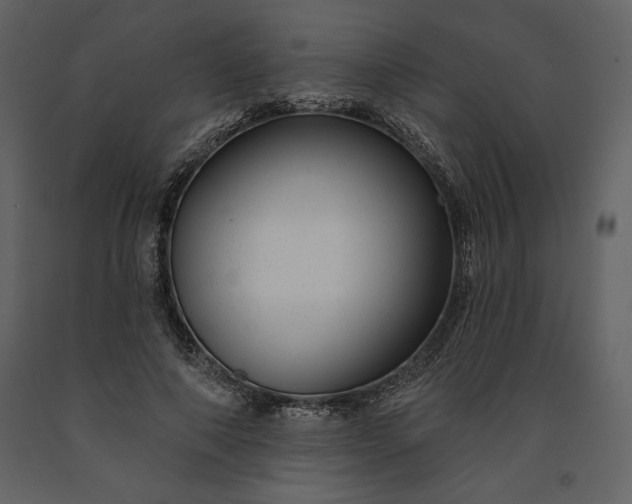 X0000091210690200708231608